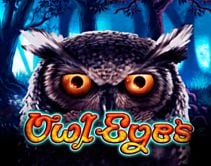 Owl Eyes Owl Eyes